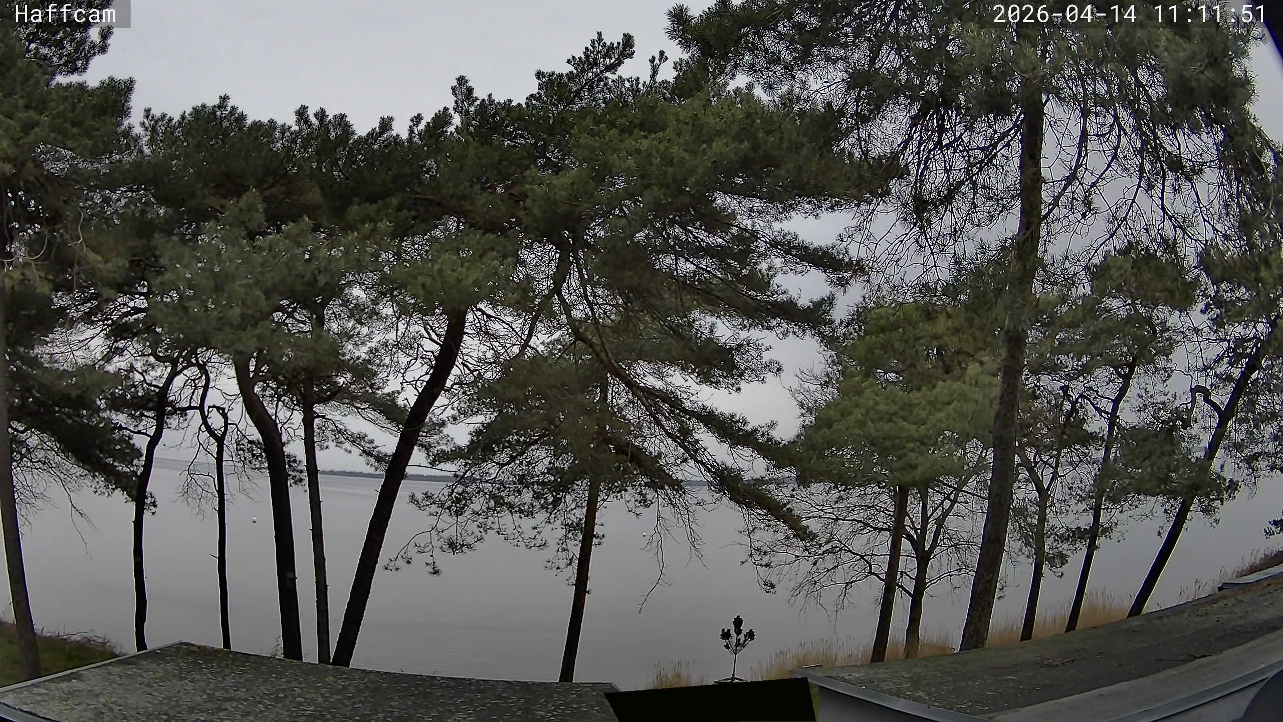 Blick auf das Salzhaff